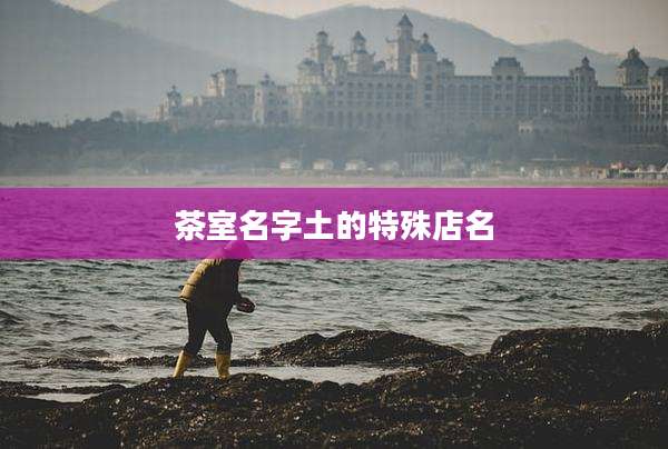 茶室名字土的特殊店名