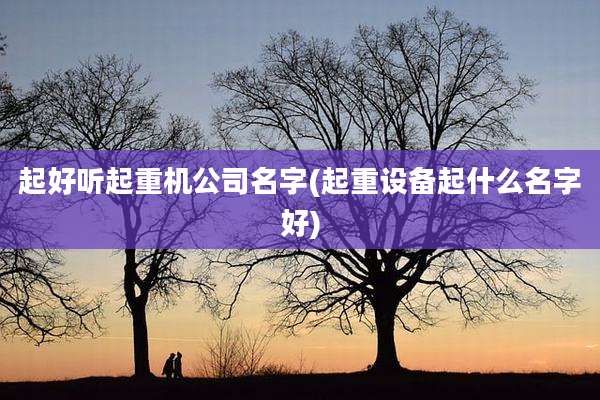 起好听起重机公司名字(起重设备起什么名字好)