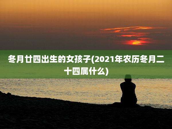 冬月廿四出生的女孩子(2021年农历冬月二十四属什么)
