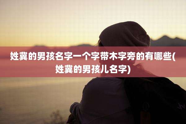 姓冀的男孩名字一个字带木字旁的有哪些(姓冀的男孩儿名字)