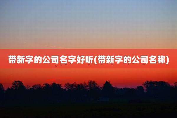 带新字的公司名字好听(带新字的公司名称)