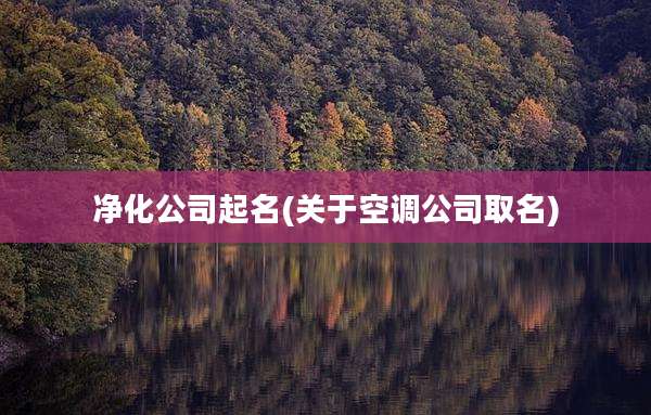 净化公司起名(关于空调公司取名)