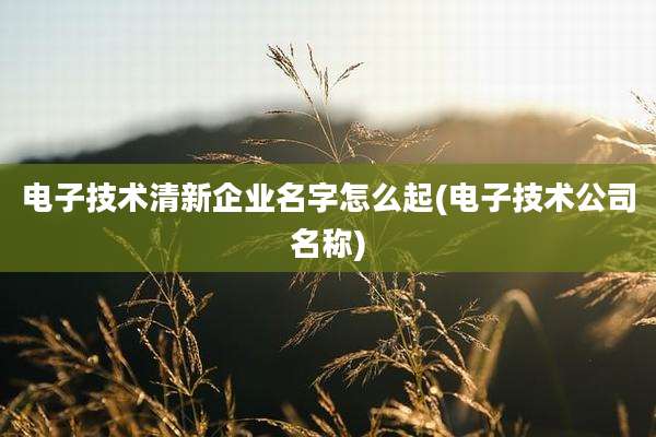 电子技术清新企业名字怎么起(电子技术公司名称)