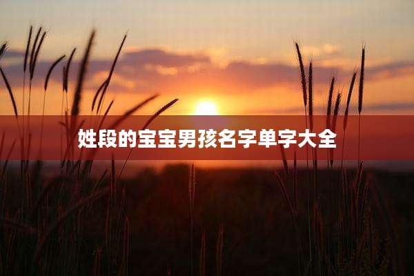 姓段的宝宝男孩名字单字大全