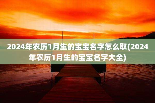 2024年农历1月生的宝宝名字怎么取(2024年农历1月生的宝宝名字大全)