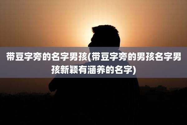 带豆字旁的名字男孩(带豆字旁的男孩名字男孩新颖有涵养的名字)