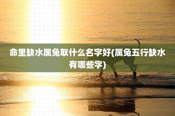 命里缺水属兔取什么名字好(属兔五行缺水有哪些字)