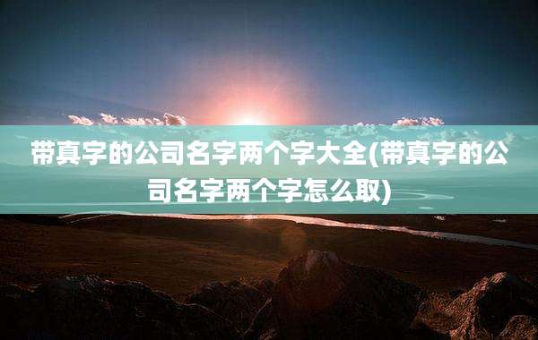 带真字的公司名字两个字大全(带真字的公司名字两个字怎么取)