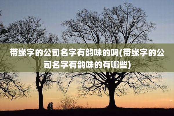 带缘字的公司名字有韵味的吗(带缘字的公司名字有韵味的有哪些)