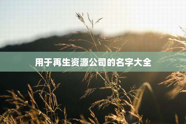 用于再生资源公司的名字大全