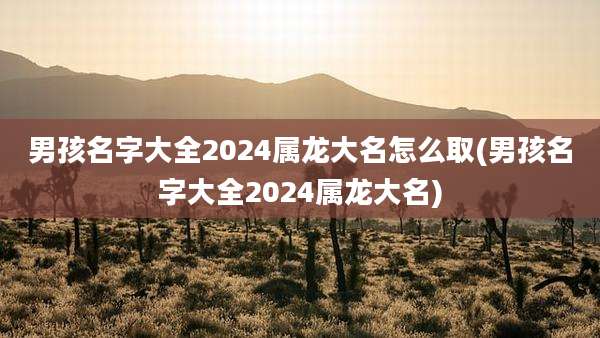 男孩名字大全2024属龙大名怎么取(男孩名字大全2024属龙大名)