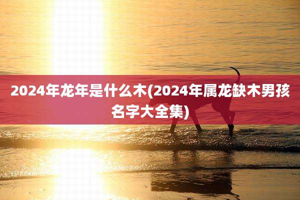 2024年龙年是什么木(2024年属龙缺木男孩名字大全集)