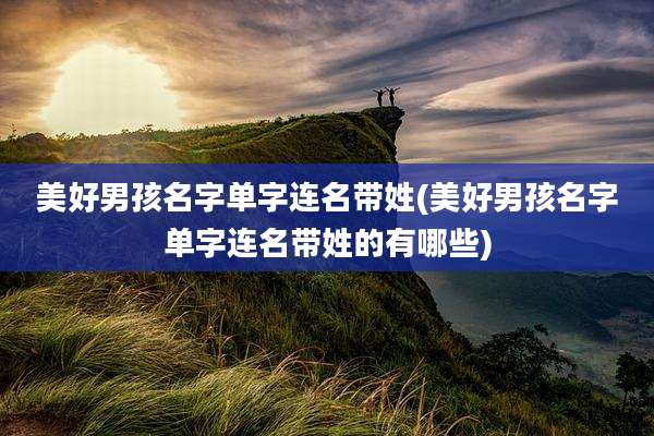 美好男孩名字单字连名带姓(美好男孩名字单字连名带姓的有哪些)