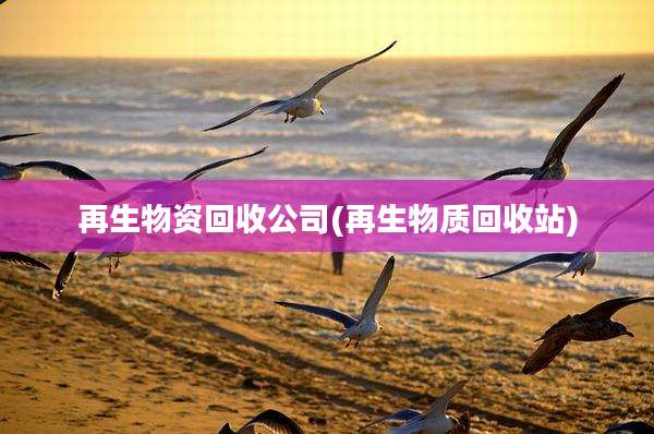 再生物资回收公司(再生物质回收站)