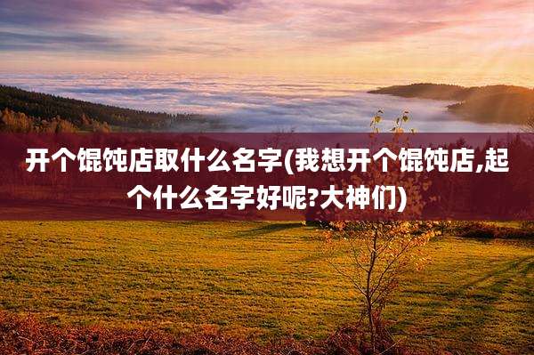 开个馄饨店取什么名字(我想开个馄饨店,起个什么名字好呢?大神们)