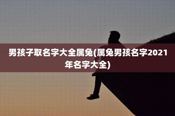 男孩子取名字大全属兔(属兔男孩名字2021年名字大全)
