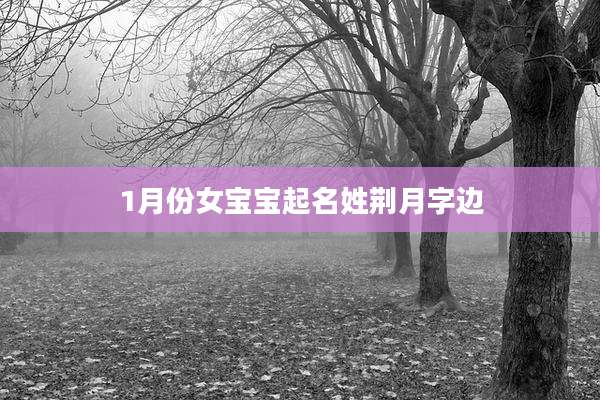1月份女宝宝起名姓荆月字边