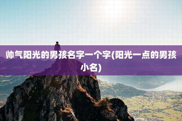 帅气阳光的男孩名字一个字(阳光一点的男孩小名)