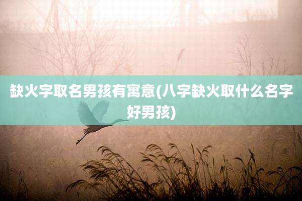 缺火字取名男孩有寓意(八字缺火取什么名字好男孩)