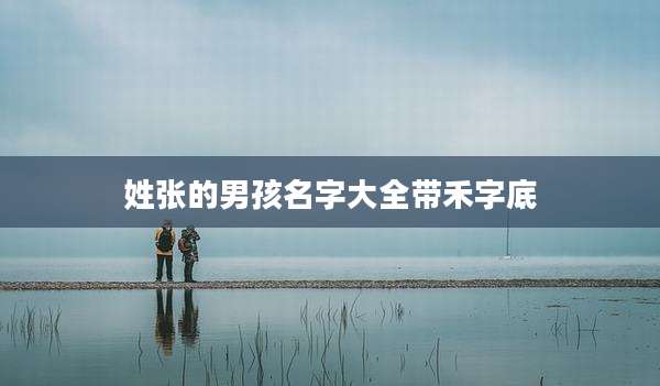 姓张的男孩名字大全带禾字底