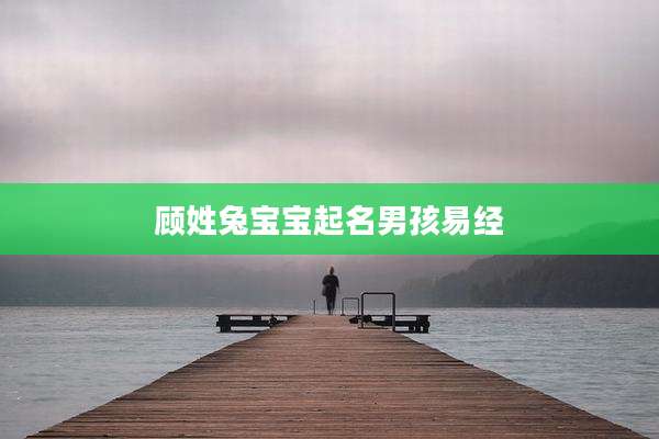 顾姓兔宝宝起名男孩易经