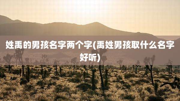 姓禹的男孩名字两个字(禹姓男孩取什么名字好听)
