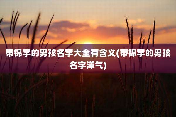 带锦字的男孩名字大全有含义(带锦字的男孩名字洋气)
