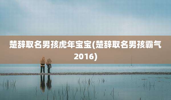 楚辞取名男孩虎年宝宝(楚辞取名男孩霸气2016)