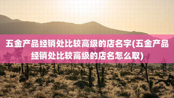 五金产品经销处比较高级的店名字(五金产品经销处比较高级的店名怎么取)