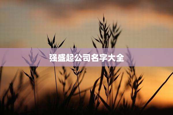 强盛起公司名字大全