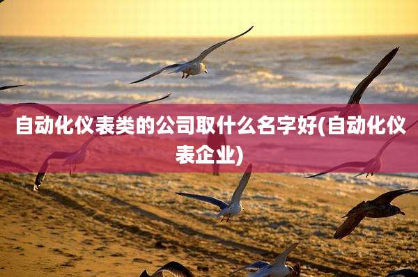 自动化仪表类的公司取什么名字好(自动化仪表企业)