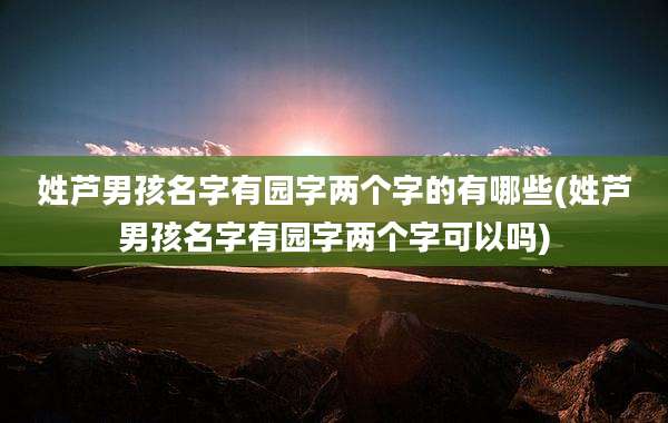 姓芦男孩名字有园字两个字的有哪些(姓芦男孩名字有园字两个字可以吗)