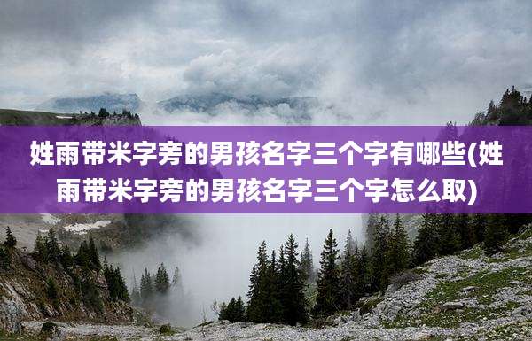 姓雨带米字旁的男孩名字三个字有哪些(姓雨带米字旁的男孩名字三个字怎么取)