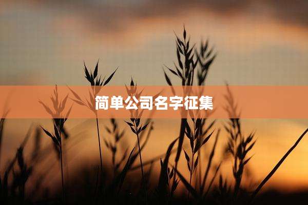 简单公司名字征集
