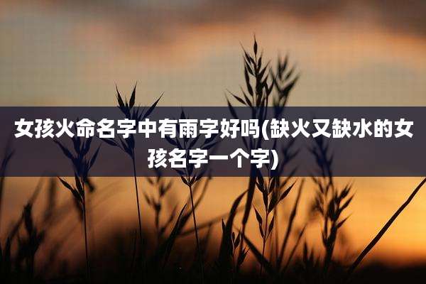 女孩火命名字中有雨字好吗(缺火又缺水的女孩名字一个字)