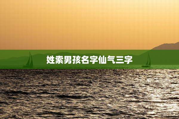 姓索男孩名字仙气三字