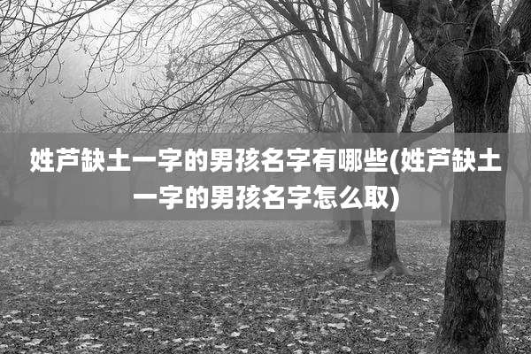 姓芦缺土一字的男孩名字有哪些(姓芦缺土一字的男孩名字怎么取)