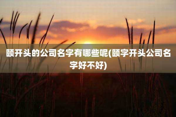 颐开头的公司名字有哪些呢(颐字开头公司名字好不好)