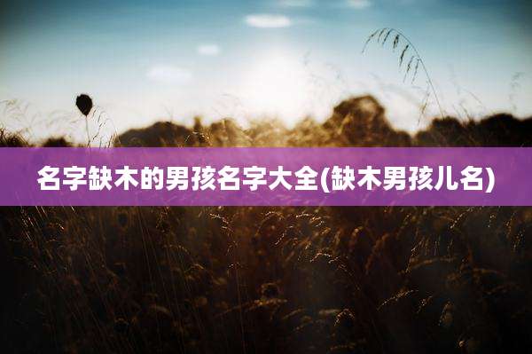 名字缺木的男孩名字大全(缺木男孩儿名)
