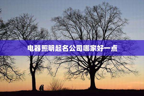 电器照明起名公司哪家好一点