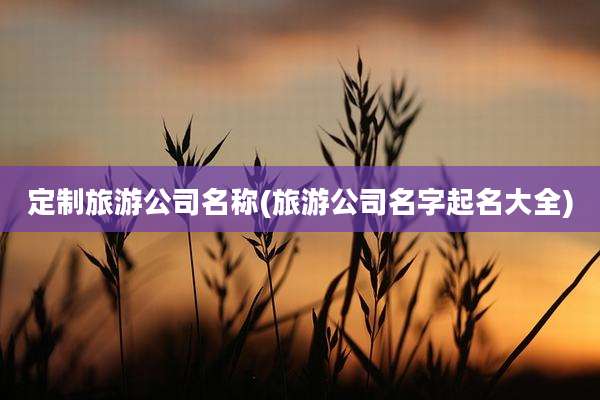 定制旅游公司名称(旅游公司名字起名大全)