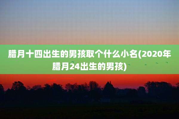 腊月十四出生的男孩取个什么小名(2020年腊月24出生的男孩)