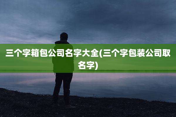 三个字箱包公司名字大全(三个字包装公司取名字)