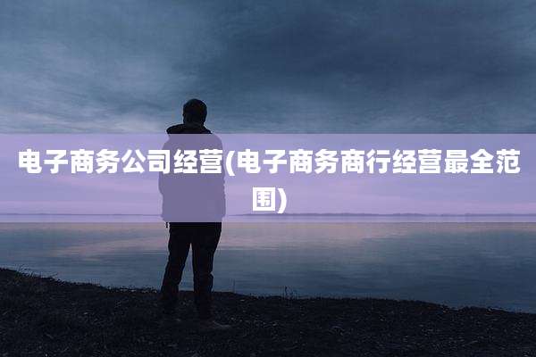 电子商务公司经营(电子商务商行经营最全范围)