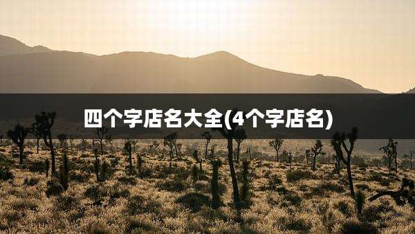 四个字店名大全(4个字店名)