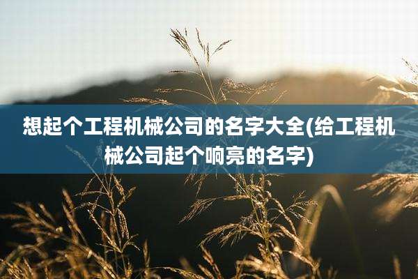 想起个工程机械公司的名字大全(给工程机械公司起个响亮的名字)