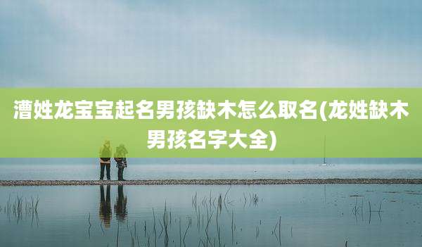 漕姓龙宝宝起名男孩缺木怎么取名(龙姓缺木男孩名字大全)