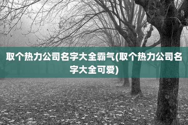 取个热力公司名字大全霸气(取个热力公司名字大全可爱)