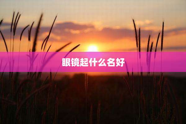 眼镜起什么名好