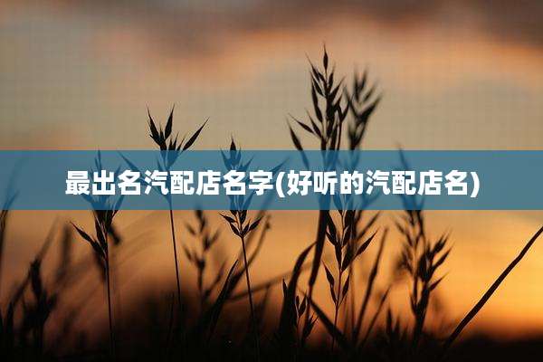 最出名汽配店名字(好听的汽配店名)